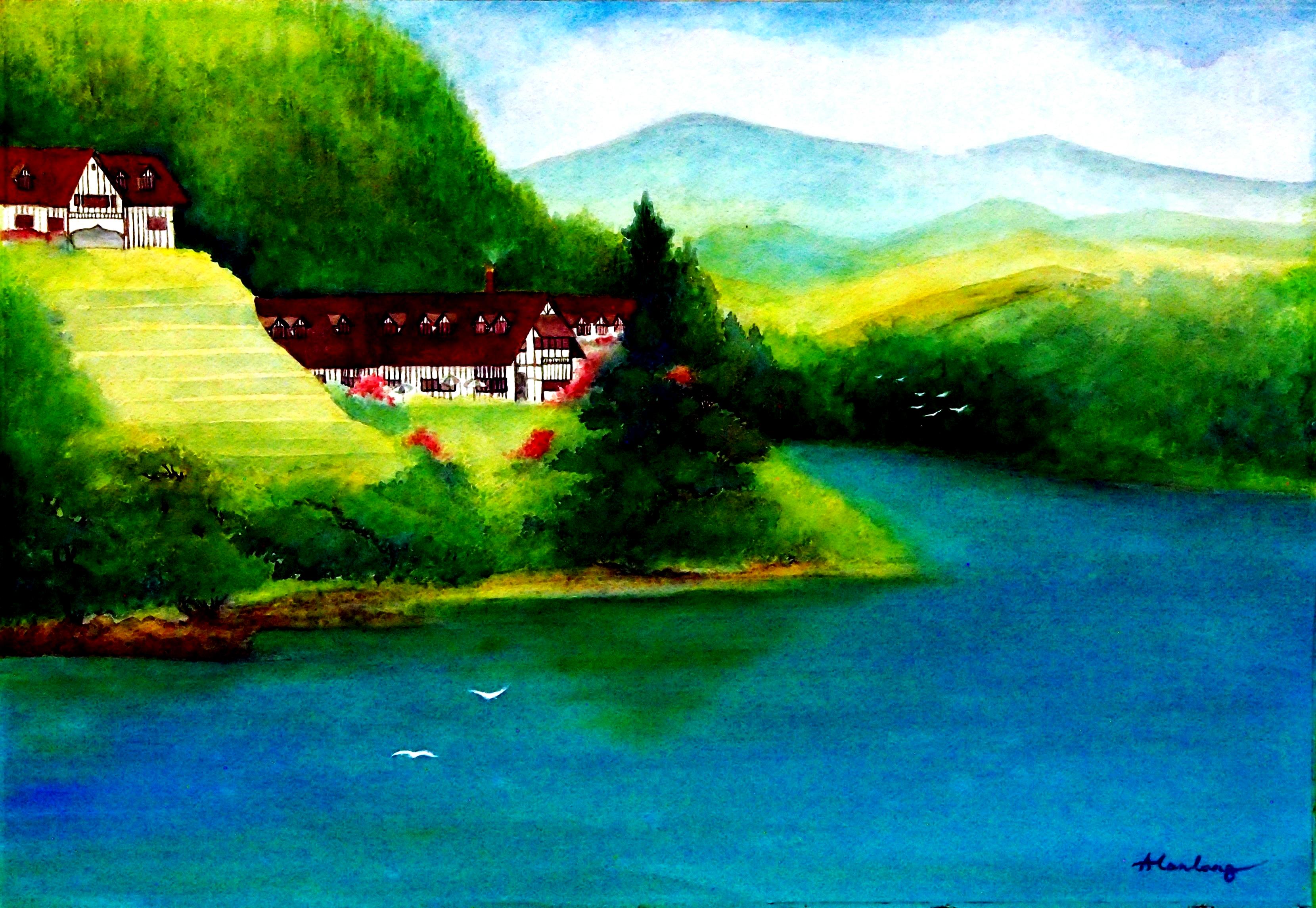 OLYMPUS DIGITAL CAMERA